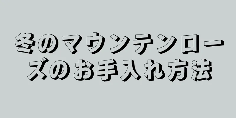冬のマウンテンローズのお手入れ方法