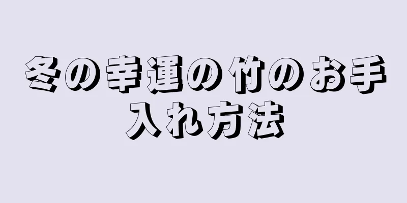 冬の幸運の竹のお手入れ方法