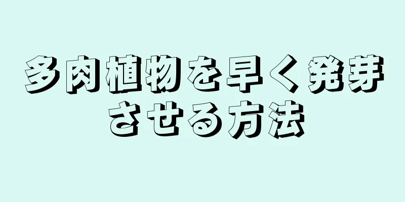 多肉植物を早く発芽させる方法