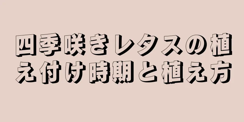 四季咲きレタスの植え付け時期と植え方