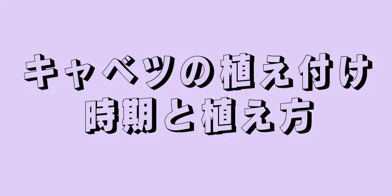 キャベツの植え付け時期と植え方