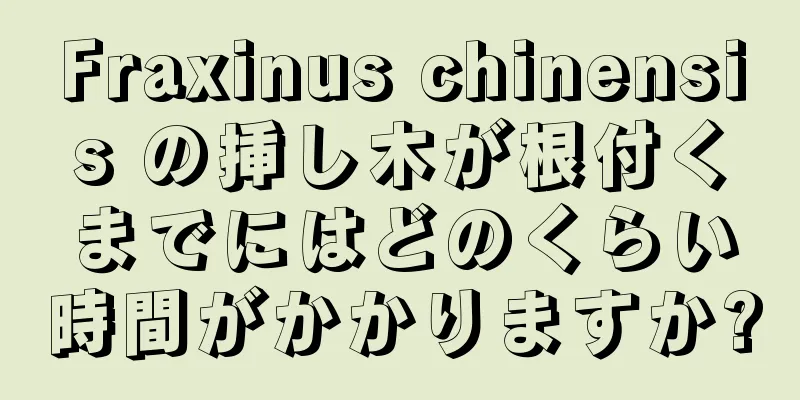 Fraxinus chinensis の挿し木が根付くまでにはどのくらい時間がかかりますか?