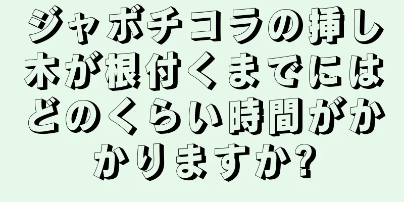 ジャボチコラの挿し木が根付くまでにはどのくらい時間がかかりますか?