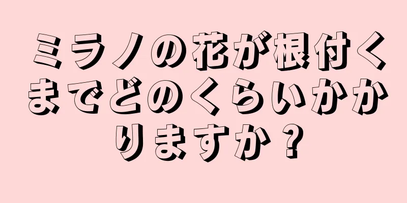 ミラノの花が根付くまでどのくらいかかりますか？