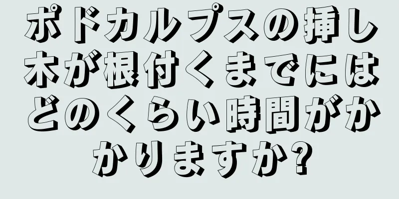 ポドカルプスの挿し木が根付くまでにはどのくらい時間がかかりますか?