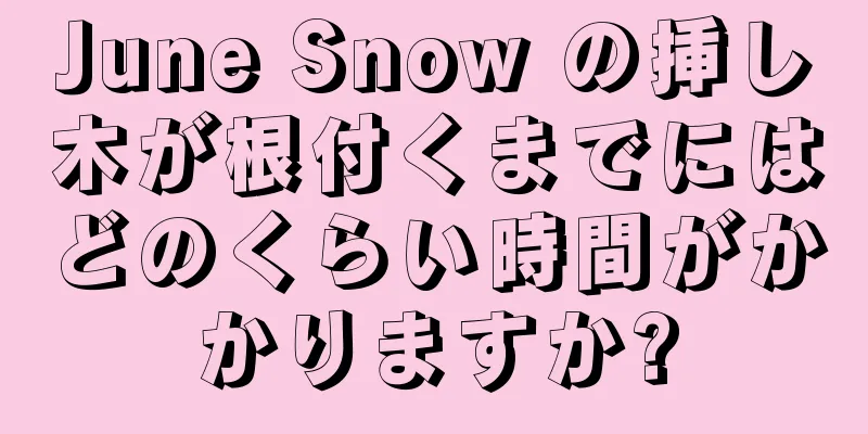 June Snow の挿し木が根付くまでにはどのくらい時間がかかりますか?