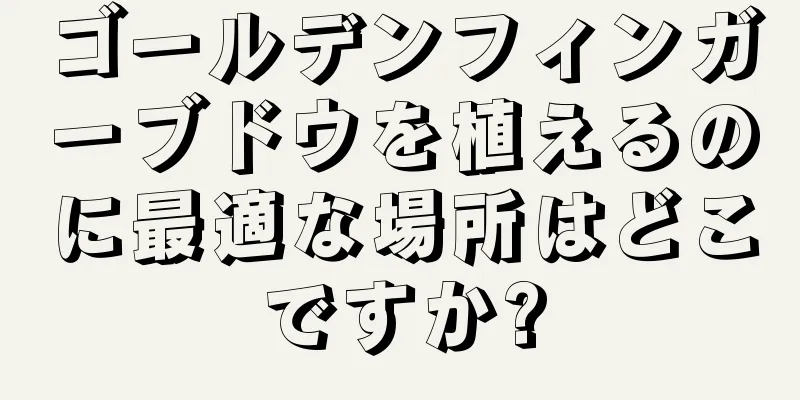ゴールデンフィンガーブドウを植えるのに最適な場所はどこですか?