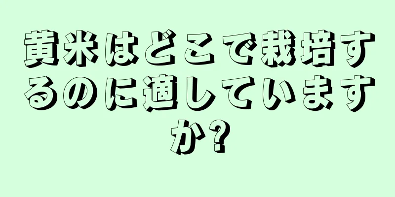 黄米はどこで栽培するのに適していますか?