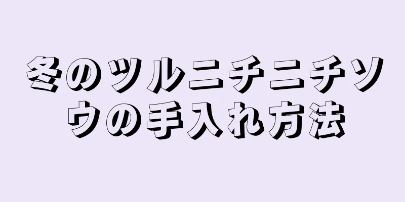 冬のツルニチニチソウの手入れ方法