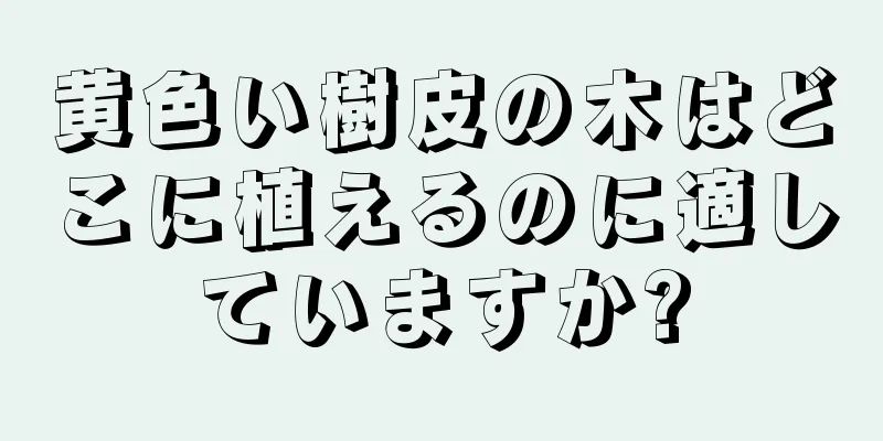 黄色い樹皮の木はどこに植えるのに適していますか?