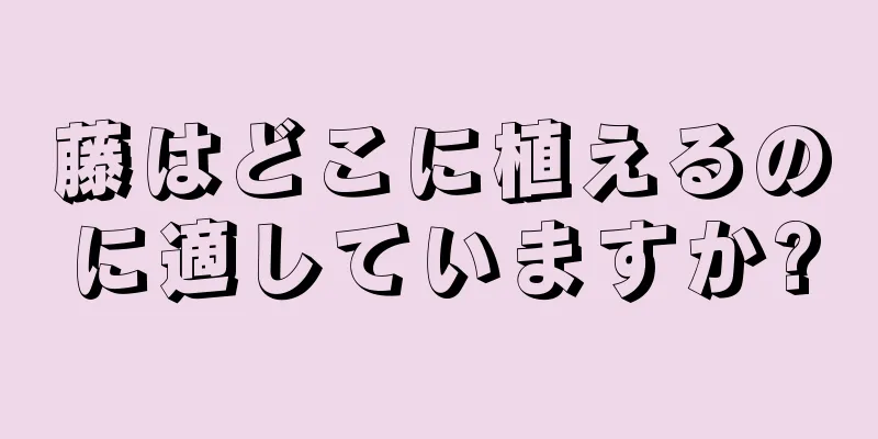藤はどこに植えるのに適していますか?