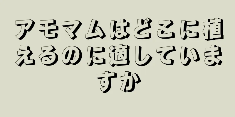 アモマムはどこに植えるのに適していますか