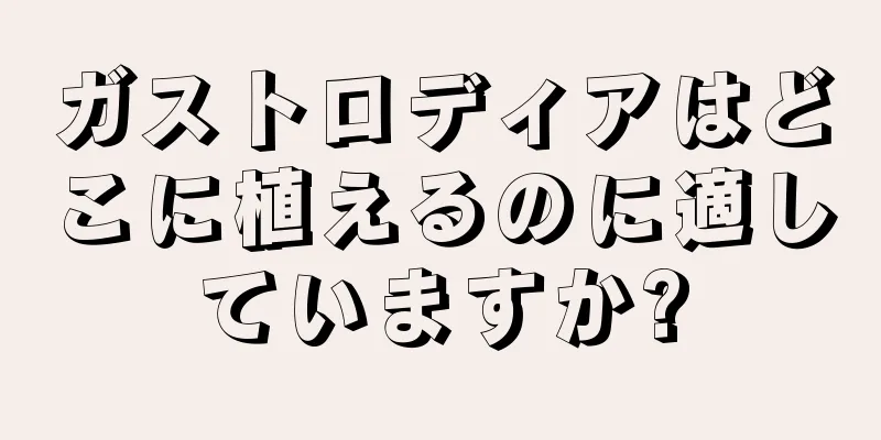 ガストロディアはどこに植えるのに適していますか?