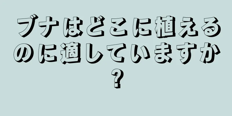 ブナはどこに植えるのに適していますか?