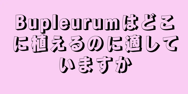 Bupleurumはどこに植えるのに適していますか