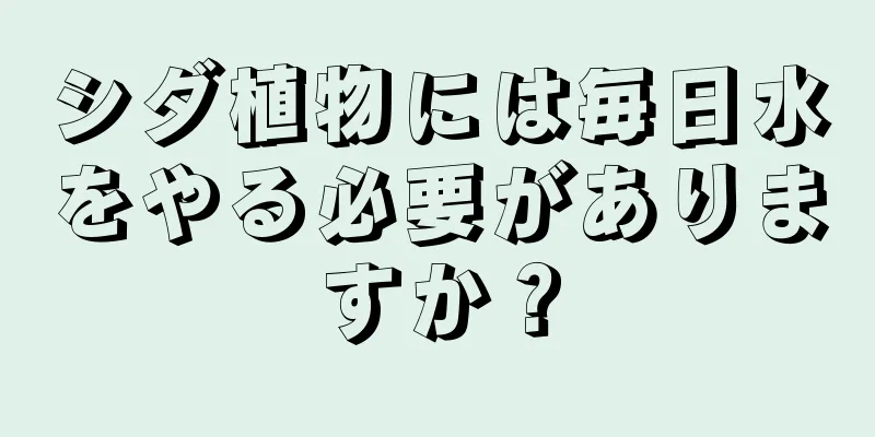 シダ植物には毎日水をやる必要がありますか？