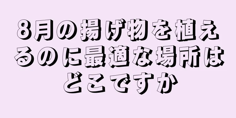 8月の揚げ物を植えるのに最適な場所はどこですか