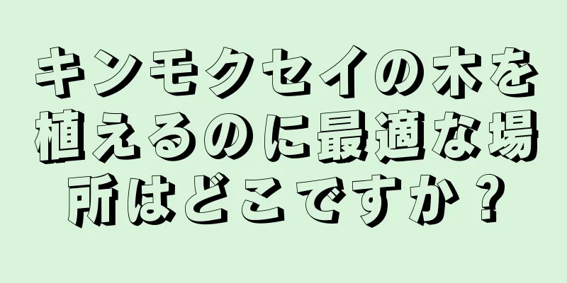 キンモクセイの木を植えるのに最適な場所はどこですか？