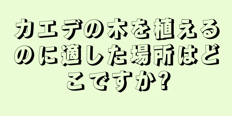 カエデの木を植えるのに適した場所はどこですか?
