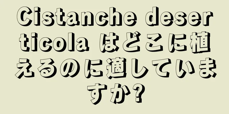 Cistanche deserticola はどこに植えるのに適していますか?