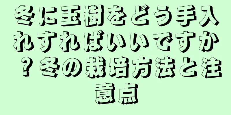 冬に玉樹をどう手入れすればいいですか？冬の栽培方法と注意点