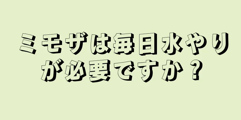 ミモザは毎日水やりが必要ですか？