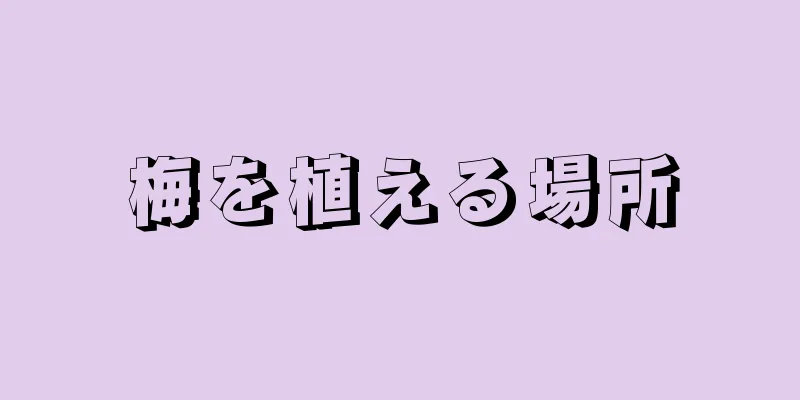 梅を植える場所