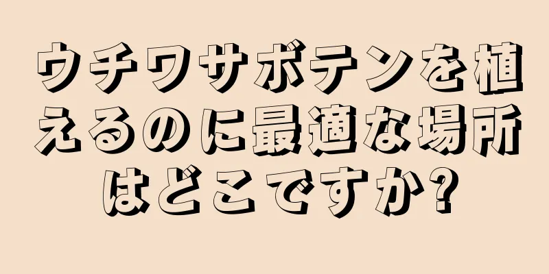 ウチワサボテンを植えるのに最適な場所はどこですか?