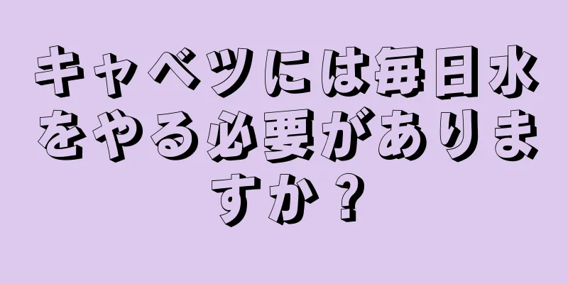キャベツには毎日水をやる必要がありますか？