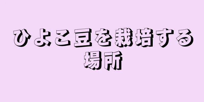 ひよこ豆を栽培する場所