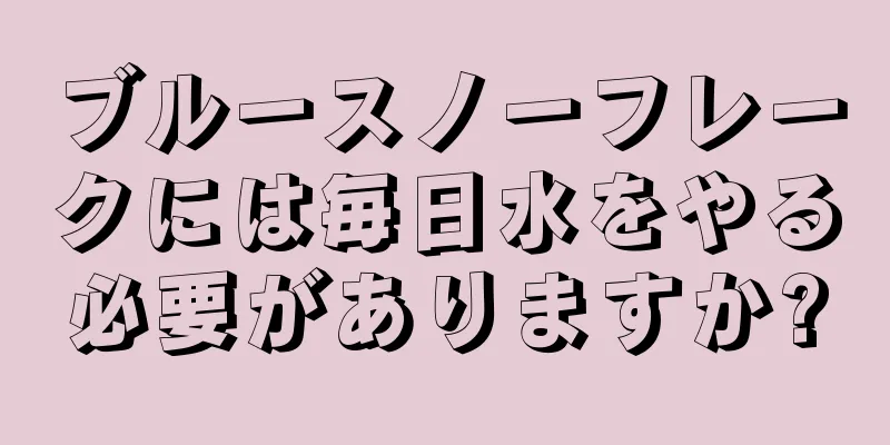 ブルースノーフレークには毎日水をやる必要がありますか?