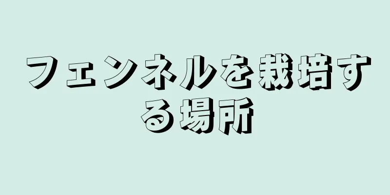 フェンネルを栽培する場所