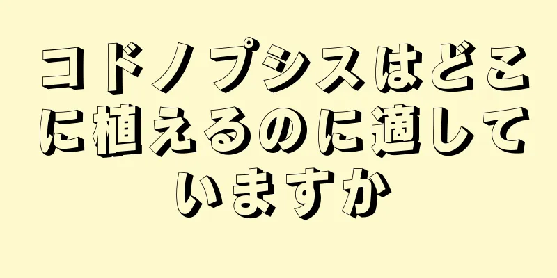 コドノプシスはどこに植えるのに適していますか