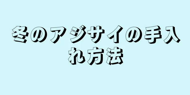 冬のアジサイの手入れ方法