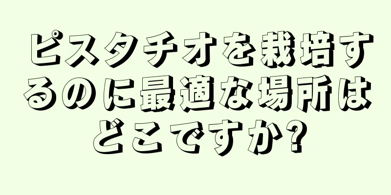 ピスタチオを栽培するのに最適な場所はどこですか?