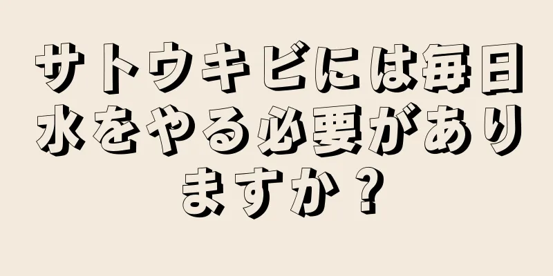 サトウキビには毎日水をやる必要がありますか？