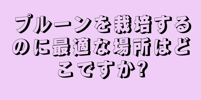 プルーンを栽培するのに最適な場所はどこですか?