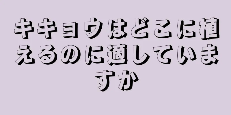 キキョウはどこに植えるのに適していますか