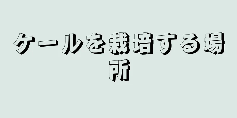 ケールを栽培する場所