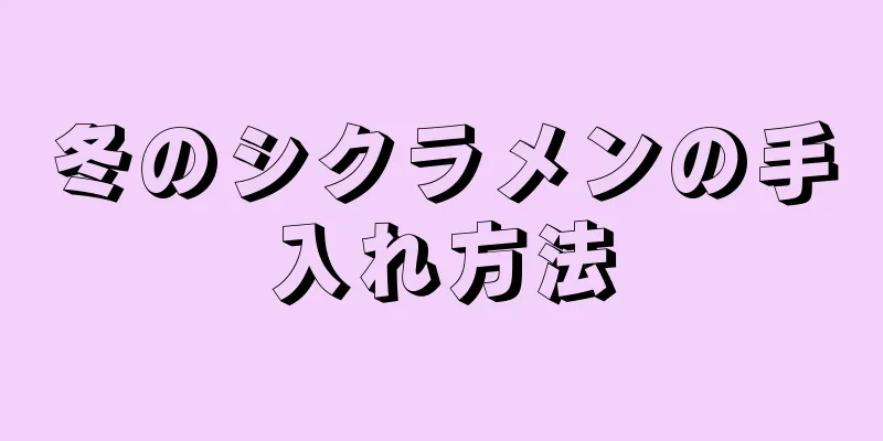 冬のシクラメンの手入れ方法