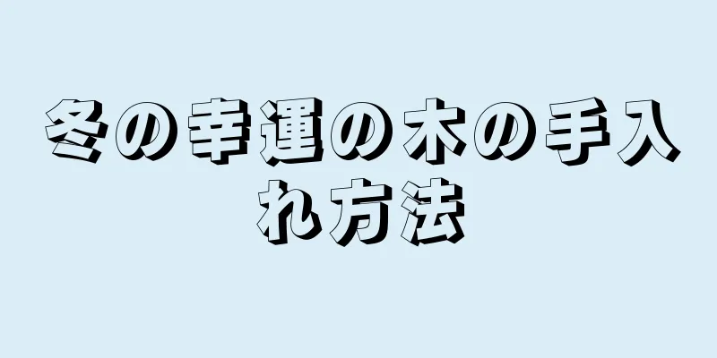 冬の幸運の木の手入れ方法