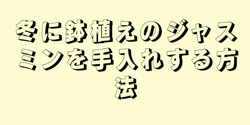 冬に鉢植えのジャスミンを手入れする方法
