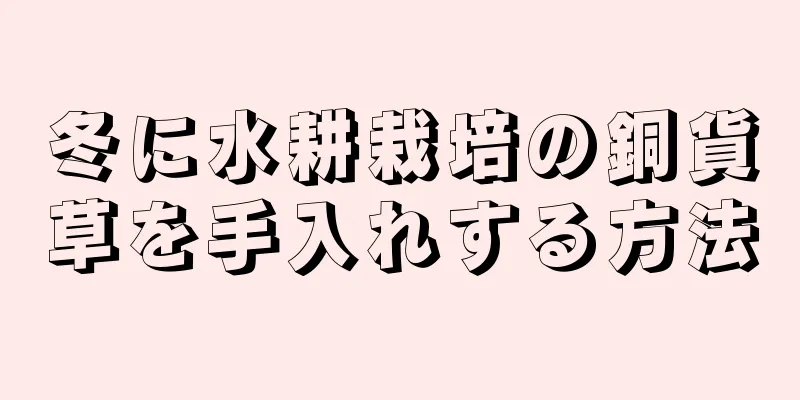 冬に水耕栽培の銅貨草を手入れする方法