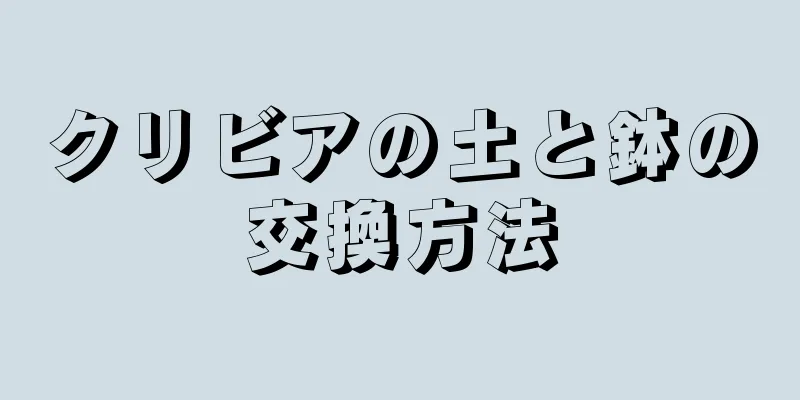 クリビアの土と鉢の交換方法