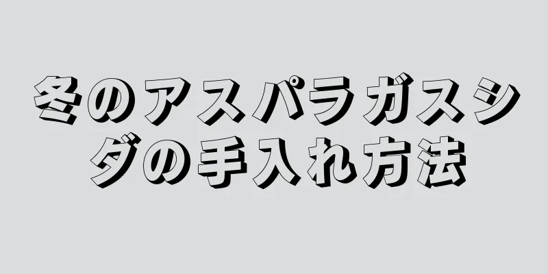 冬のアスパラガスシダの手入れ方法