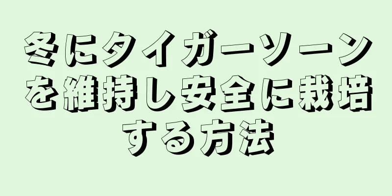 冬にタイガーソーンを維持し安全に栽培する方法