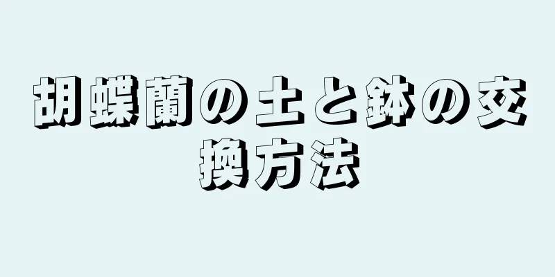 胡蝶蘭の土と鉢の交換方法