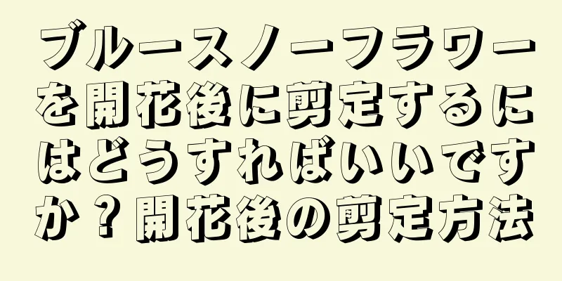 ブルースノーフラワーを開花後に剪定するにはどうすればいいですか？開花後の剪定方法