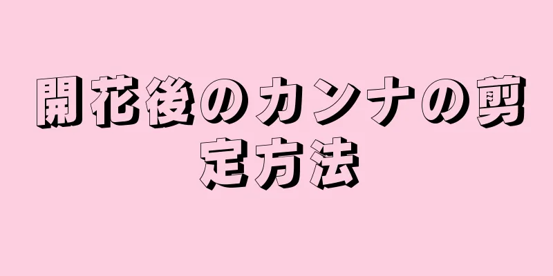 開花後のカンナの剪定方法