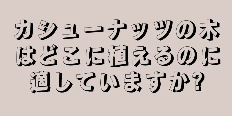 カシューナッツの木はどこに植えるのに適していますか?